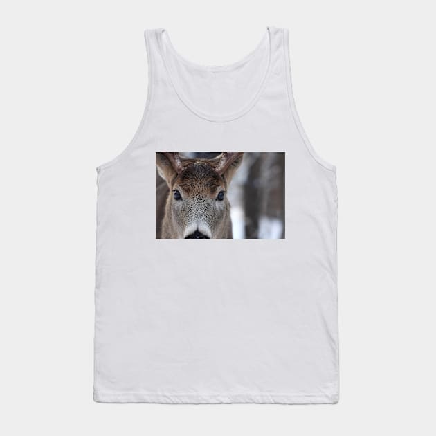 White-tailed Deer Buck up close and personal Tank Top by Jim Cumming